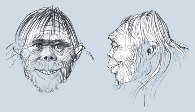 Zeichnerische Rekonstruktion eines mongolischen Almas, basierend auf Augenzeugenberichten (Illu.).