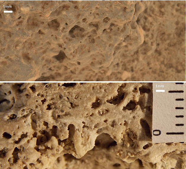 Ein Vergleich der Mikroskopaufnahmen von Strukturen auf dem Mars, aufgenommen von „Curiosity“ an dessen 506. Missionstag auf dem Mars (Sol) mit den Details irdischer biogener Stromatolithen aus dem Lagia Slagada in Brasilien (u.) zeigen ebenso offenkundige wie erstaunliche Übereinstimmungen. Copyright/Quelle: NASA/JPL / Journal of Astrobiology and Space Science Reviews, 1, 40--81, 2019; Joseph et al.