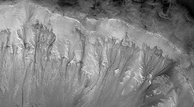 Eine neue Studie sieht in diesen sog. Recurrent Slope Linae (RSL) an Kraterwänden auf dem Mars Rinnsale von austretendem Tiefengrundwasser. Copyright: NASA/JPL/University of Arizona