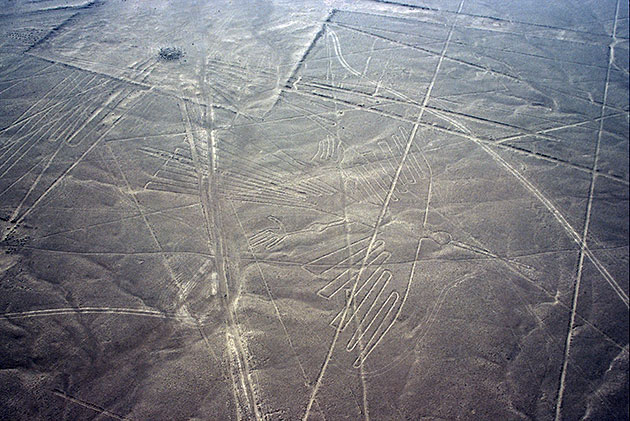 Diese, traditionell als Kondor gedeutete Geoglyphe konnten die Ornithologen keiner konkreten Vogelart zuordnen. Copyright: Copyright: Herb/Tofal für grenzwissenschaft-aktuell.de