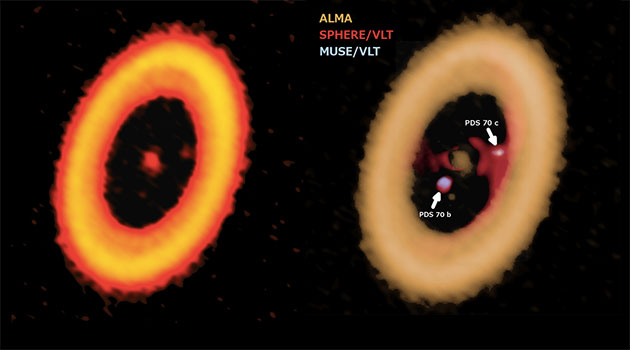 Kompositaufnahme (r.) aus der neusten Aufnahme mit dem ALMA-Teleskop (s. Abb. l.) mit früheren VLT-Aufnahmen des jungen Planetensystems um den Stern „PDS 70“, um dessen jungen Gasplaneten „PDS 70 c“ sich eine zirkumplanetare Scheibe zeigt, aus der heraus sich planetengroße Monde bilden könnten. Copyright: ALMA (ESO/NAOJ/NRAO) A. Isella; ESO