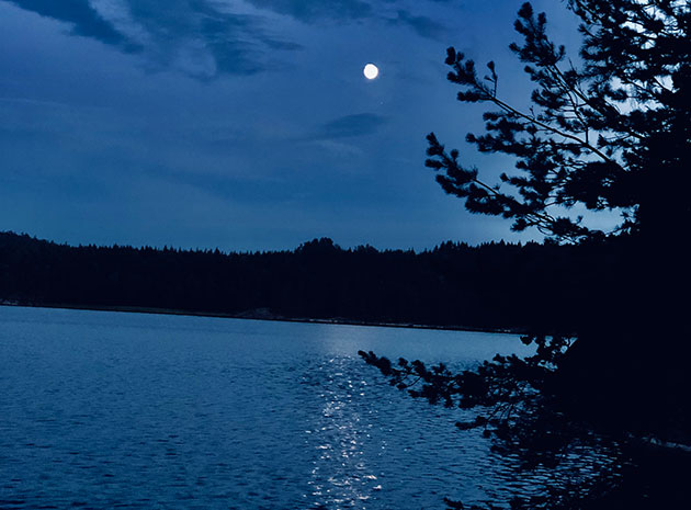 Symbolbild: Blick zum Mond Copyright: A. Müller für grenzwissenschaft-aktuell.de