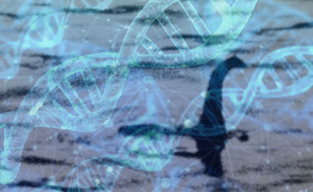 Symbolbild: Nessie-DNA Kollage: grewi.de