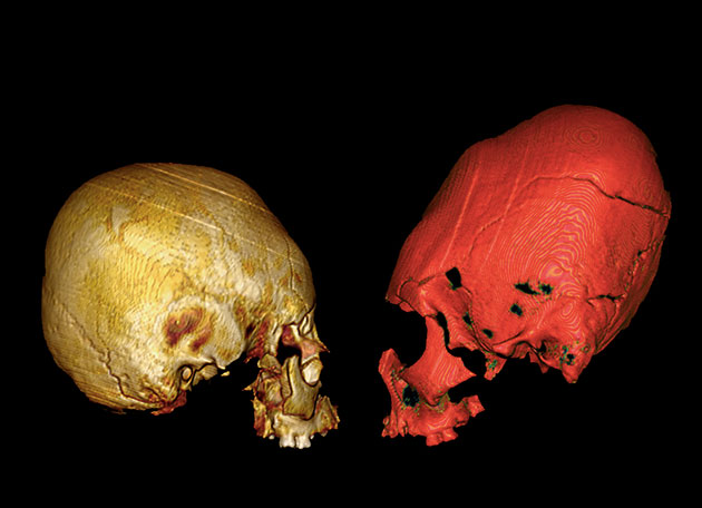 CT-Scans zweier unterschiedlich künstlich herbeigeführt deformierter Schädel aus einer Grabgrube von von Hermanov Vinograd in Kroatien. Copyright/Quelle: M. Kavka / Pinhasi, Novak et al., 2019