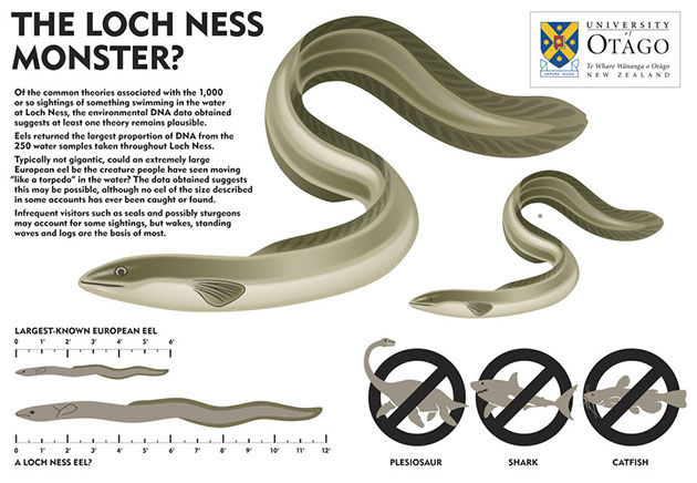 Grafische Darstellung der Ergebnisse der eDNA-Analyse anhand von Wasserproben aus dem Loch Ness. Copyright/Quelle: Gemmel et al. / University of Otago