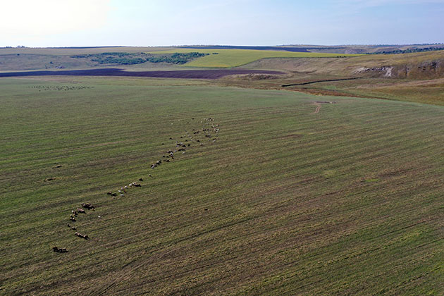 Ausgrabungen von kupferzeitlichen vorstädtischen Siedlungen aus der Zeit um 3.800 v.Chr. und von bronzezeitlichen Aschehügeln um 1300 v. Chr. in Moldawien (Stolniceni) haben entscheidend zur Rekonstruktion der Landnutzung und Siedlungsweise in den Wald- und Grassteppen Eurasiens beigetragen. Copyright: J. Müller/UFG