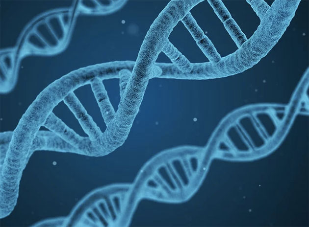 Symbolbild: DNA Copyright: qimono (via Pixabay.com) / Pixabay License