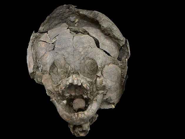 Schädel im Schädel: Dieser Schädel eines Kleinkindes wurde mit dem Schädel eines älteren Kindes umgeben. Copyright: Sara Juengst