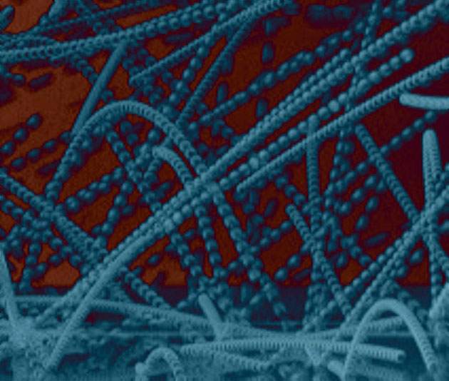 Glaspartikel kollidieren unter Mikrogravitation und haften durch die dabei entstehende elektrische Aufladung aneinander. Copyright/Quelle: Gerhard Wurm, Tobias Steinpilz, Jens Teiser and Felix Jungmann / Universität Duisburg-Essen