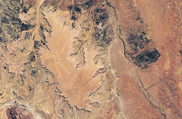 Landsat8-Aufnahmen vom 22. Juni 2019 zeigt das Ergebnis der Restaurierungsarbeiten am immer noch rätselhaften „Marree Man“ in South Australia. (Klicken Sie auf die Bildmitte, um zu einer vergrößerten Gesamtansicht zu gelangen.) Copyright: NASA Earth Observatory image by Lauren Dauphin, using Landsat data from the U.S. Geological Survey