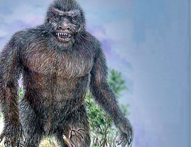 Künstlerische Darstellung eines „Yowie“ (Illu.). Copyright/Quelle: Australian Yowie Research
