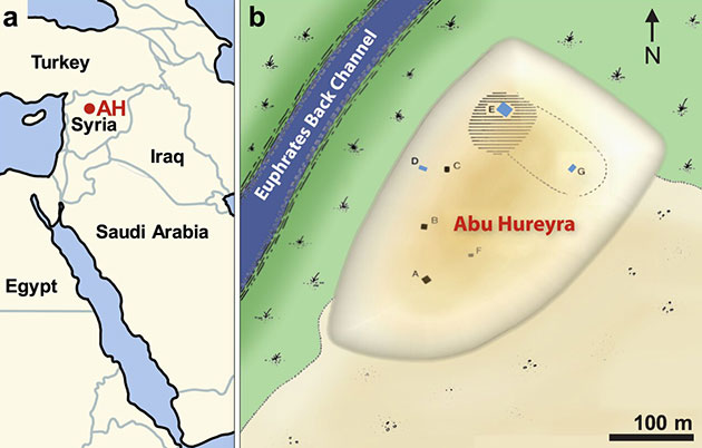 Karte von Abu Hureyra. Quelle: J. Kennett et al. / Scientific Reports (2020)