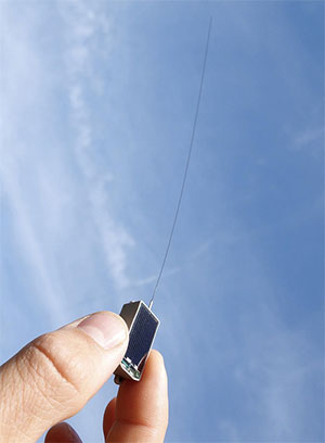 Die eigens für Icarus entwickelten Sender wiegen nur fünf Gramm. Sie messen die Position und verschiedene Körperdaten des Tieres und leiten die ihre Messdaten per Funk weiter. Copyright: MPI f. Ornithologie/ MaxCine