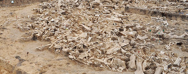 Detailansicht von „Kostenki 11“. Copyright: Pryor et al., Antiquity, 2020