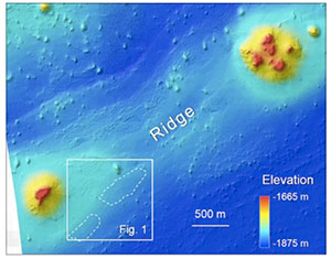 Höhenkarte des betroffenen Gebietes, die beiden Srukturen sind gestrichelt markiert. Copyright/Quelle: Oehler et al. 2020 / NASA