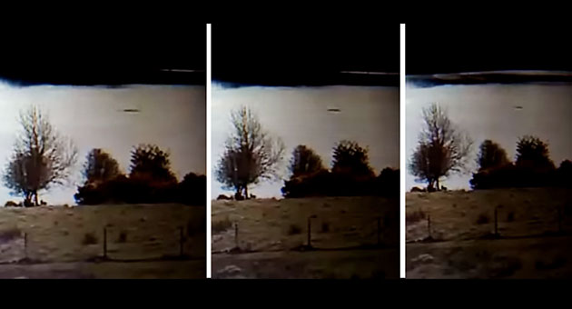 Standbilder aus einer der Webcam-Aufnahmen. Copyright/Quelle: lochness.co.uk / Eoin O’Faodhagain