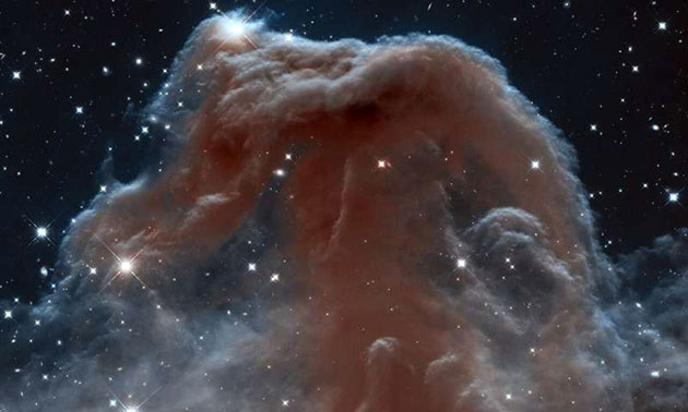 Organische Materie im Nebel könnte die Quelle für terrestrisches Wasser sein Copyright: NASA, ESA und das Hubble Heritage Team (STScI / AURA)