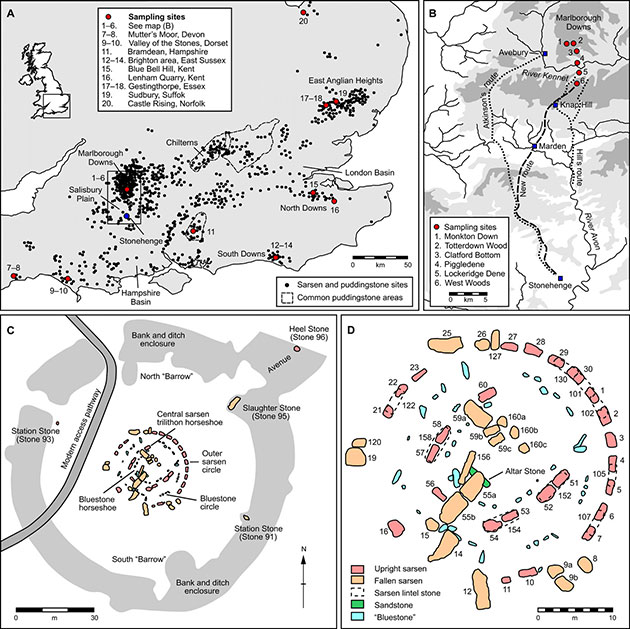 Die Grafiken zeigen die unterschiedlichen Herkunftsorte bekannter Sarsenseteine in England, mit denen die Proben aus Stonehenge verglichen wurden (A) sowie die bislang angenommenen Transportrouten und die anhand der neuen Daten vermutete „neue“ Route (B). Die Grafiken C und D zeigen einen „Bauplan“ des Steinkreises von Stonehenge und seiner unterschiedlichen Steine. (Klicken Sie auf die Bildmitte, um zu einer vergrößerten Darstellung zu gelangen.) Copyright/Quelle: David Nash / University of Brighton