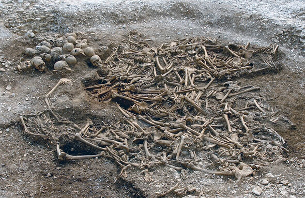 Auch die sterblichen Überreste von 50 geköpften Wikingern aus einem Massengrab im südenglischen Dorset wurden für die aktuelle Studie analysiert. Copyright: Dorset County Council/Oxford Archaeology