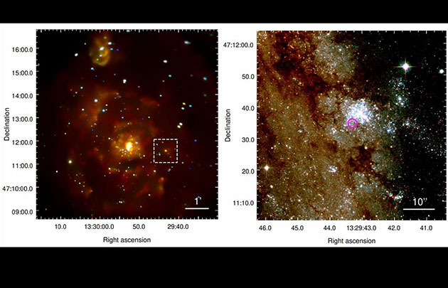 Chandra/ACIS-S-Aufnahme der Whirlpool Galaxie (M51) in einer Falschfarbendarstellung und der markierten Röntgenquelle „M 51-ULS“ (l.). Der pinkfarbene Kreis in der HAST-Ausschnittsvergrößerung (r.) markiert die Position des Signals am Rande eines jungen Sternhaufens. (Klicken Sie auf die Bildmitte, um zu einer vergrößerten Darstellung zu gelangen.) Copyright/Quelle: Stefano et al. / arXiv:2009.08987