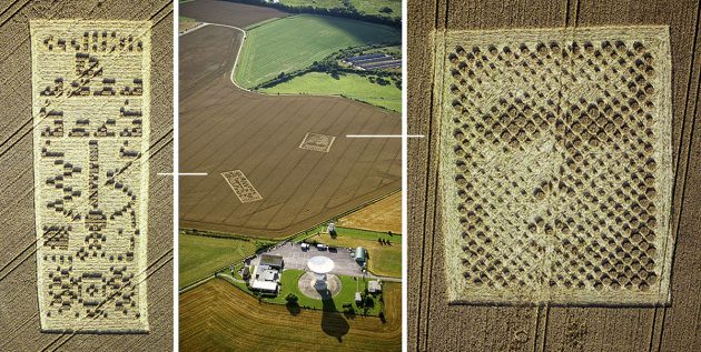 Luftbilder der beiden Kornkreise neben dem Radioobservatorium von Arecibo in Hampshire. Copyright: Steve Alexander, www.temporarytemples.co.uk