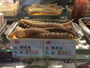 In der traditionellen chinesischen Medizin werden verschiedene Inhaltsstoffe aus Pflanzen, Tieren und Pilzen verwendet. Einige davon stammen von bedrohten Arten, wie etwa diese Hörner einer vom Aussterben bedrohten Saiga-Antilope. Copyright: E. J. Milner-Gulland