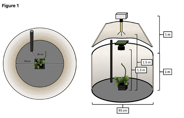 Grafische Darstellung des Versuchsaufbaus (Illu.). Copyright/Quelle: Raja et al., Scientific Reports 2020