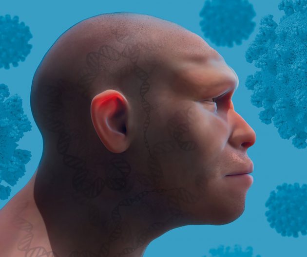 Symbolbild: Genvarianten, die wir vom Neandertaler geerbt haben, können unser Risiko, bei einer Infektion mit Sars-CoV-2 schwer zu erkranken, sowohl erhöhen als auch verringern (Illu.). Copyright/Quelle: Mattias Karlén / MPG