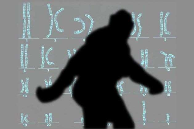 Symbolbild: Bigfoot-DNA (Illu.). Copyright: grenzwissenschaft-aktuell.de