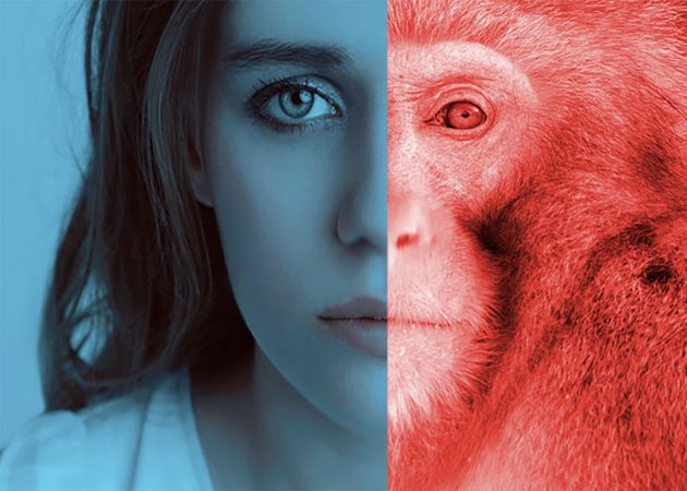 Symbolbild: Chimäre aus Affe und Mensch (Illu.). Quelle: grenzwissenschaft-aktuell.de