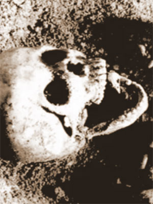 In dieser Ausschnittsvergrößerung der Titelabbildung wird der Finkenschädel deutlich. Copyright/Quelle: Wojenka et al., 2021 / Prähistorische Zeitschrift / Archive der Fakultät Archäologie, Universität Warschau