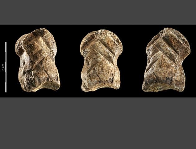 Ein von Neandertalern verzierter Riesenhirschknochen aus der Einhornhöhle. Copyright/Quelle: V. Minkus, NLD