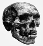 Der Schädel von Zanas Sohn Khwit. Quelle: Dr. Igor Burtsev