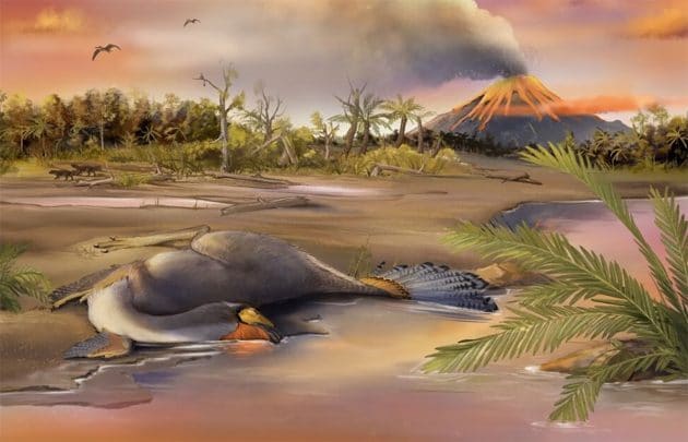 Rekonstruktion des am Ufer von Seen in der Liaoning-Provinz verstorbenen und in der Folge versteinerten Caudipteryx (Illu.). Copyright: Zheng Qiuyang