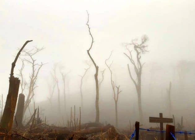 Symbolbild: Folgen des Klimawandels. Copyright: V. Müller f. grenzwissenschaft-aktuell.de