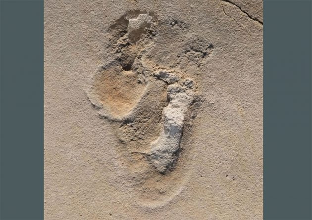 Eine von über 50 Fußspuren früher Menschenvorläufer nahe Trachilos auf Kreta. Copyright: Per Ahlberg, Uppsala