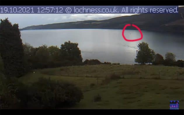 Standbild aus dem Video. Copyright/Quelle: Eoin Fagan (Youtube-Kanal)