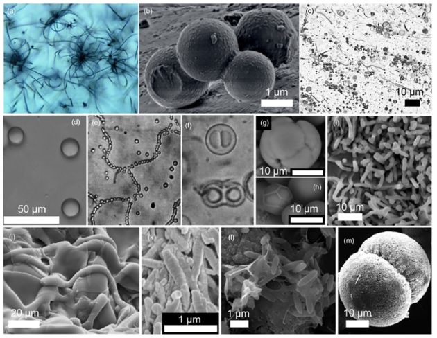 Weitere Beispiele anorganischer und organischer sogenannter Strukturen, die als Biomorphe bezeichnet werden, aber dennoch nicht das Ergebnis lebendiger Prozesse sind. Copyright: McMahon & Cosmidis, J. Geol. Soc., 2021