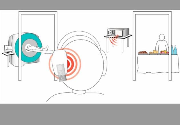 Versuchsaufbau der Studie Copyright: Wardzinski et al. Nutrients 2022