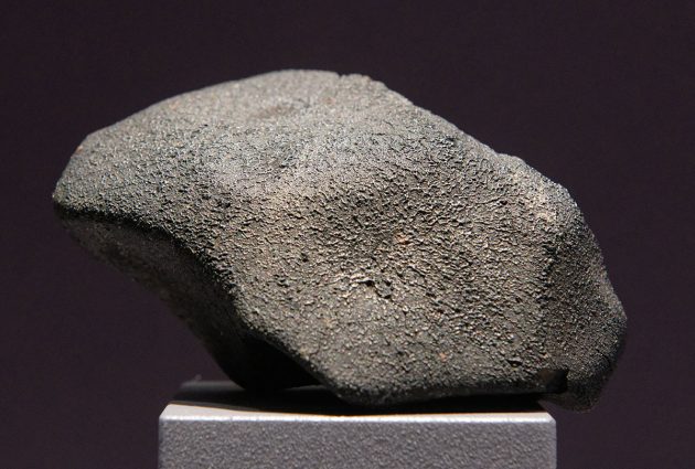Archivbild: Ein Fragment des Murchison-Meteorits im Muséum national d’histoire naturelle in Paris. Copyright: Marie-Lan Taÿ Pamart (via WikimediaCommons) / CC BY-SA 4.0