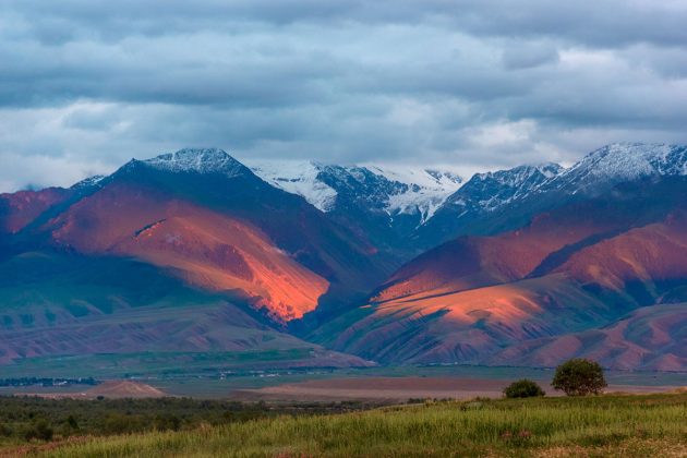 Blick auf das Tian Shan-Gebirge. Anhand von Analysen alter Pest-Genome konnten Forschende den Ursprung des Schwarzen Todes in Zentralasien, in einem Gebiet in der Nähe des Yssykköl-Sees im heutigen Kirgisistan, verorten. Copyright/Quelle: Lyazzat Musralina / Max-Planck-Instituts für evolutionäre Anthropologie