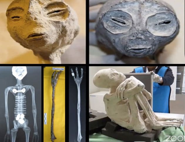 Einige Beispiele der "Weißen Mumien von Nazca". Copyright/Quelle: Moreno / UNICA