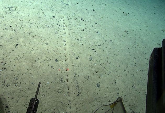 Rätselhafte gleichförmige Löcher-Reihen. (Klicken Sie auf die Bildmitte, um zu einer vergrößerten Darstellung zu gelangen.) Copyright: NOAA Ocean Exploration, Voyage to the Ridge 2022