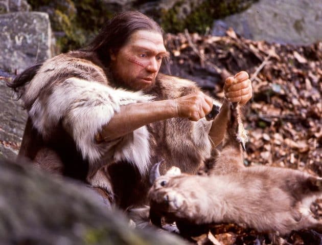 Archivbild: Lebend-Rekonstruktion im Neanderthal-Museum eines Homo sapiens neanderthalensis. Copyright: Neanderthal-Museum, Mettmann