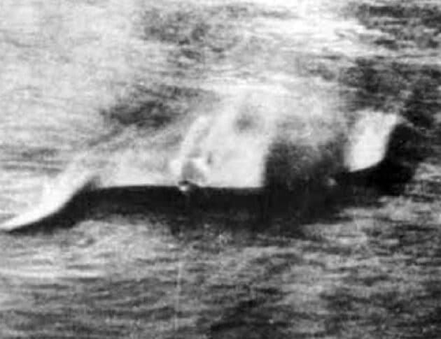 Das bis heute umstrittene Nessie-Foto von Hugh Gray aus dem Jahr 1933. Quelle: Watson, R; Journal of Scientific Exploration 2022