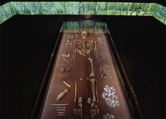 Die Präsentation der „Schamanin von Bad Dürrenberg“ in der Dauerausstellung des Landesmuseums für Vorgeschichte in Halle. Copyright: Landesamt für Denkmalpflege und Archäologie Sachsen Anhalt, Juraj Lipták