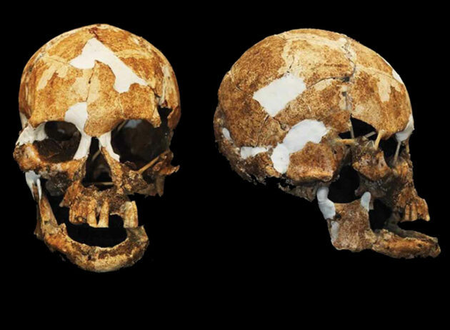 Schädel in einer Höhle im Bergland Taiwans. Copyright/Quelle: Hsiao-chin Hung et al., World Archaeology 2022