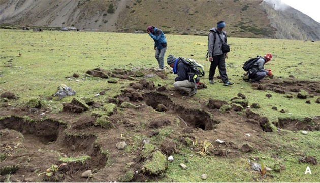 Forscher um Madhu Chetri untersuchen Gruben, die lokale Bewohner dem Mithe zugeschrieben haben, die jedoch von Bären auf der Nahrungssuche nach Murmeltieren stammen. Copyright/Quelle: M. Chetri, Journal of Threatened Taxa 2022