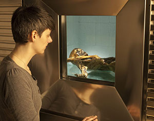 Blick durch das Vitrinenfenster zur Kühlzelle des Mannes aus dem Eis.Copyright: Südtiroler Archäologiemuseum/Ochsenreiter