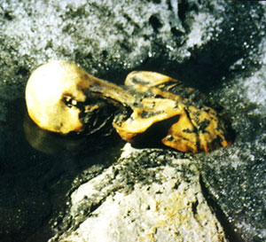 Der Oberkörper Ötzis, so wie er am 19. September 1991 am Tiesenjoch aus dem Eis ragte.Copyright: Helmut Simon/ Erika Simon